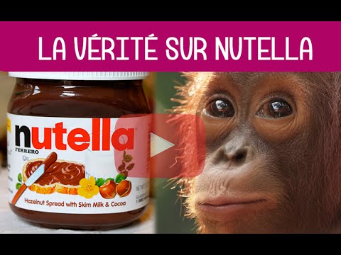 Nutella, mensonges, environnement et nutrition #NutellaTueLesOrangsOutans