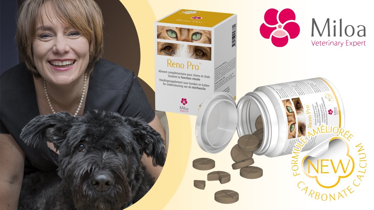 Reno Pro™ :  Insuffisance rénale chez les animaux (chat, chien…) : quelle solution ?