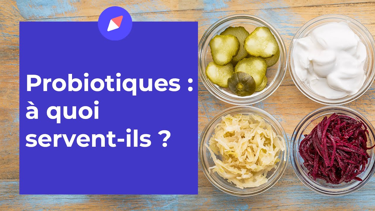 Probiotiques : à quoi servent-ils ? - Coaching Nutrition