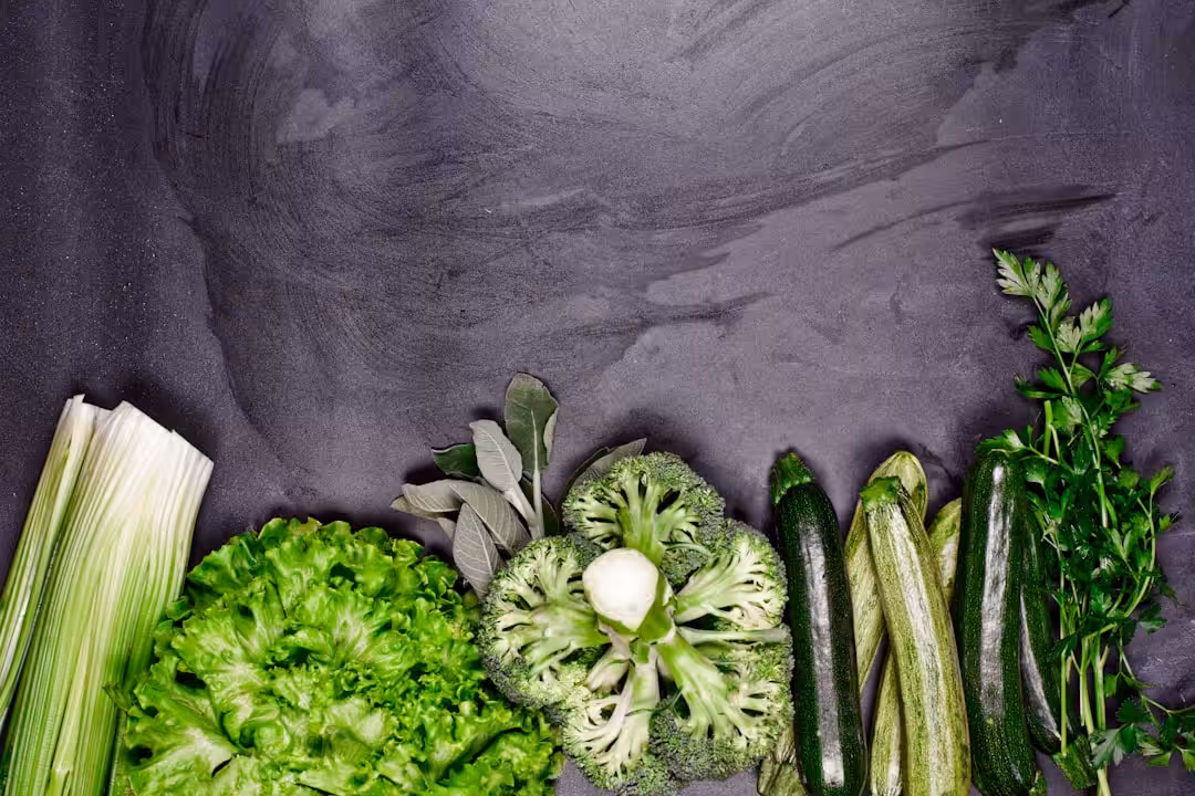 Probiotiques et santé digestive : guide complet pour comprendre et améliorer votre bien-être intestinal